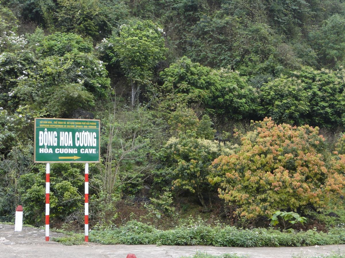 Anh Thuan Hotel 1 Cat Ba Island Luaran gambar