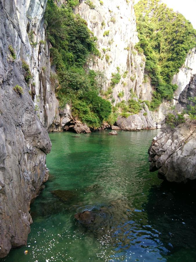 Anh Thuan Hotel 1 Cat Ba Island Luaran gambar